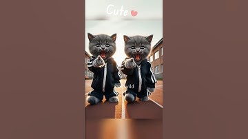#godzilla #funny #kingkong #hulk #cat #kitten #aiimages #ai #catstory #cute #catdancer #shortsvideo