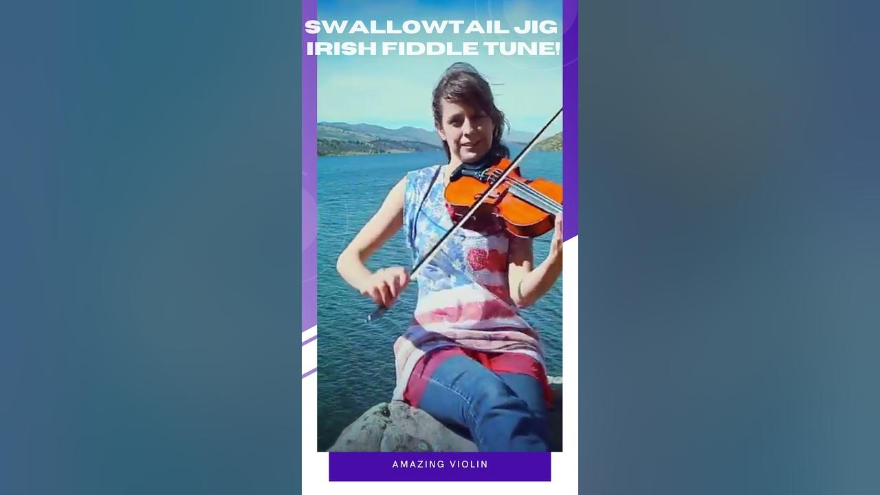 Amazing Violin | Swallowtail Jig - Irish Fiddle Tune!  #shorts
