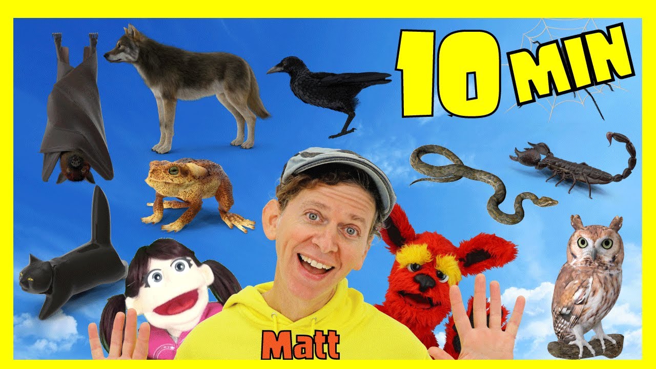 Halloween Spooky Animals Long Play | What Do You See? Song and More | Dream English Kids