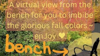 We all share the same Creator ~ a view from the bench at the Self Realization Sevalight Centre MI