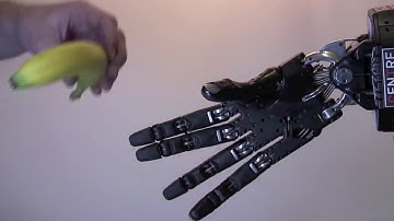 Grasping Videos Various & Quickly   Shadow Robot Company