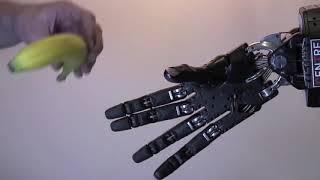 Grasping Videos Various & Quickly   Shadow Robot Company