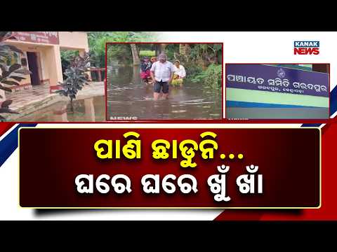 ସପ୍ତାହେ ହେଲାଣି ଛାଡୁନି ବନ୍ୟାଜଳ | Flood Crisis In Patkura! 400+ Families Trapped As Floodwater
