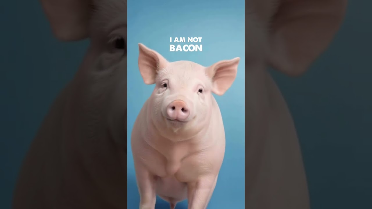 With us. Not for us. Repost By @menkay.ig