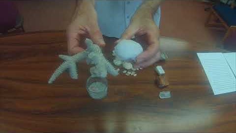 Hands on Video 6 - Weathering & Sedimentary Rocks