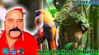 Haris İle Hoş Sohbetler Part 241