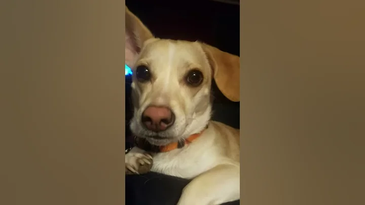 Cuddle with me mommy