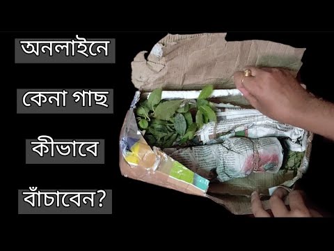 ভিডিও: কীভাবে আপনার গাছকে সতেজ রাখবেন