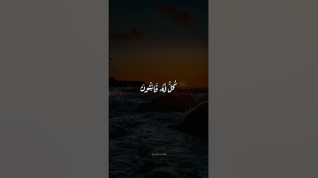 سورة الروم  | الشيخ محمد صديق المنشاوي 🎧