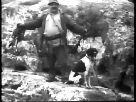 თეთრი ქვები (ღვინოა,ღვინოა)