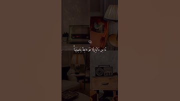 سورة هود 💙 #قرآن #حالات_دينية #حالات_واتس #حالات_واتساب #حالات #ماهر_المعيقلي