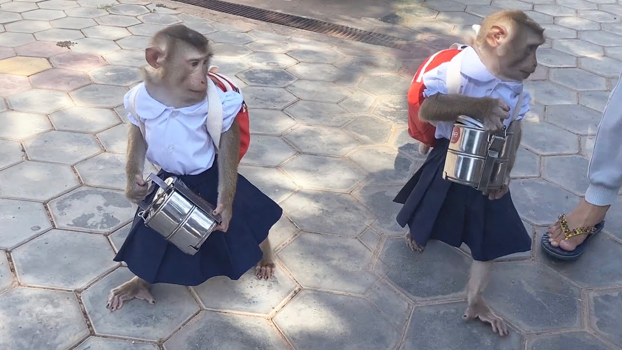 Smrt Student Judee HoId Food Container Fun Walking To School