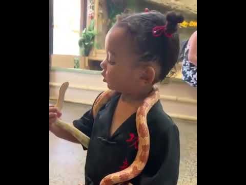 Video: Ինչպես է օձը շարժվում