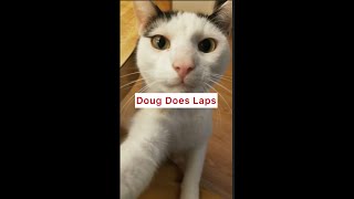 Doug Does A Lap