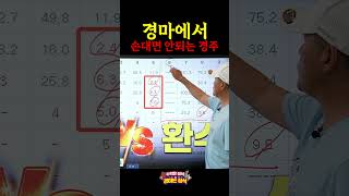 한마리만 잡으면 #경마 #장석 #경마고수 #경마하는법 #경마쫄지마