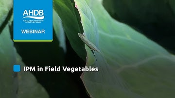 IPM in Field Vegetables