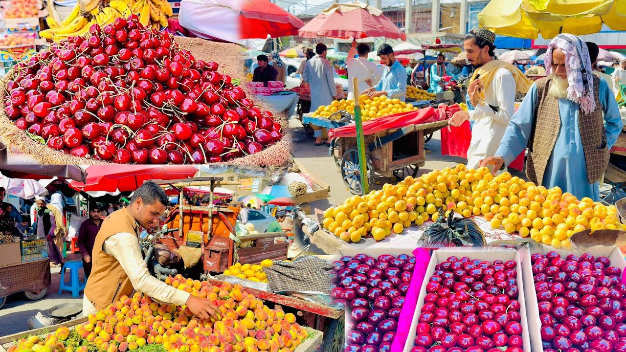 Fruit Desserts in Afghan Cuisine | Fresh fruit of Afghanistan | Melon | Berry | famous fresh fruit