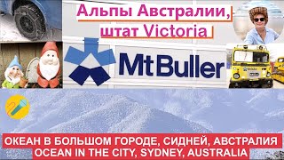 2 часть/Альпы Австралии, штат Victoria/Australian Alps Mt Buller, Victoria, Part 2/ #горы