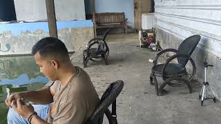 Umpan Ulat Jerman Mas Paicil Naik Master 4.9Kg Di Gtb Bale Munggur