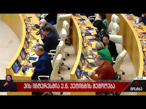 ვის ინტერესშია ე.წ. ვეტინგის შემოღება