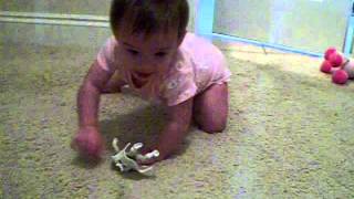 Julia crawls @ 6mos.
