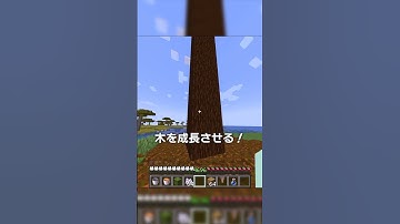 無限に続くマイクラ【マイクラ豆知識 解説 裏技】