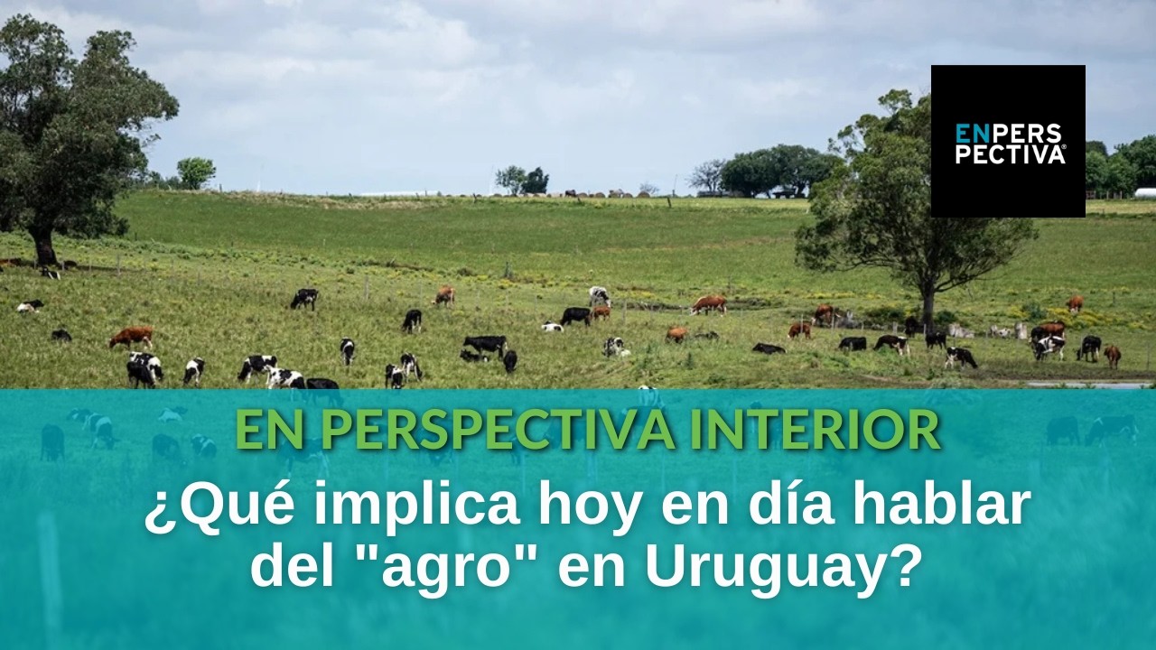 Mitos y realidades del sector agropecuario: ¿Cuáles son los puntos que la sociedad debe discutir?