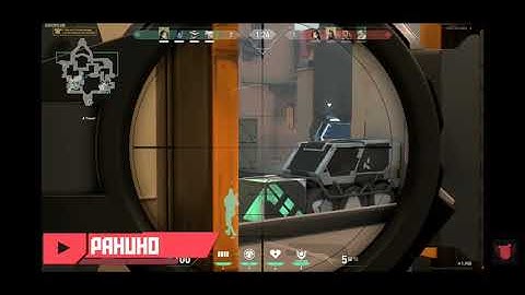 Nowhere for run sova