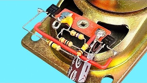 DIY Bird Sound Doorbell #diy #experiment