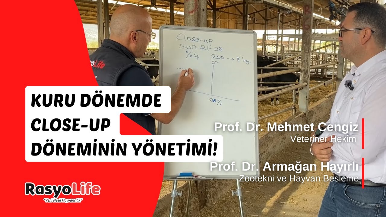 Kuru Dönemde Close-Up Döneminin Yönetimi (Prof. Dr. Mehmet Cengiz - Prof. Dr. Armağan Hayırlı)
