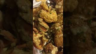 IMG 4079