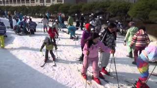 韓國首爾樂天滑雪場