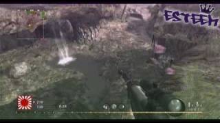 Esteem :: COD5 WAW Montage 2 :: Point of Impact
