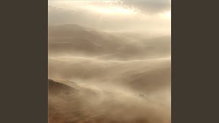 Gentle Echoes
