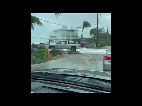 Sharks spotted in Treasure Coast floodwaters ahead of Nicole