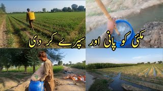 Farm vlogger | Makai ko urea Khad aur spry Kar Di Hai