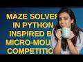 Codereview: Maze Solver in Python inspired by Micro-Mouse Competition Logic