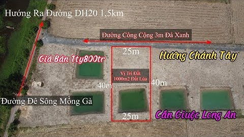 Bán 1000m2 Đất Lúa 25x40m Sổ Hồng Riêng Giá 1ty800tr Đường Xe Hơi Cách QL50 600m Cần Giuộc Long An