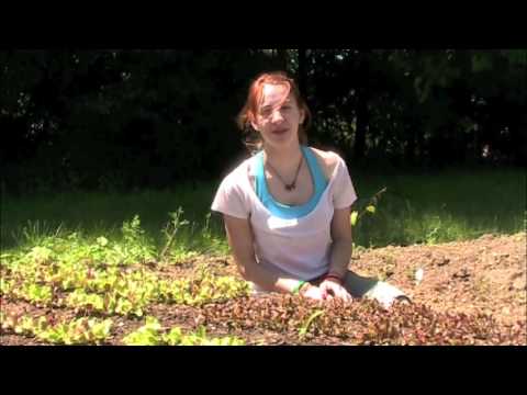 Skidmore Student Garden Welcome