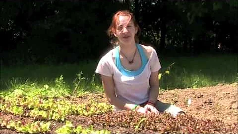 Skidmore Student Garden Welcome