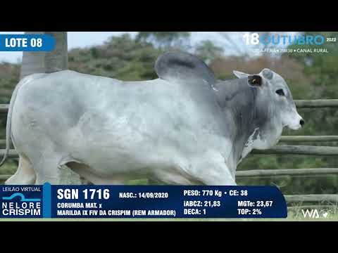 LOTE 08 SGN 1716