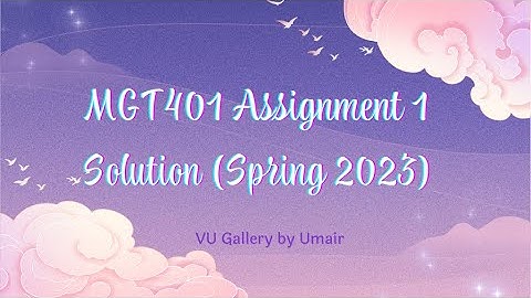 MGT401 Assignment 1 Solution 2023