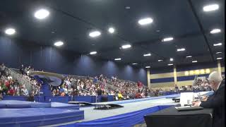 Akash Modi - Vault - 2020 Winter Cup Finals