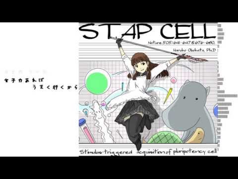 【オリジナル】女子力【初音ミク・IA・Mac音ナナ】