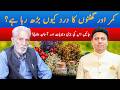 Natural Remedies for Back and Shoulder Pain | Health Awareness | Hakeem Rahat Naseem Sohdrvi