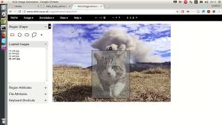 VGG annotator getting data from json export