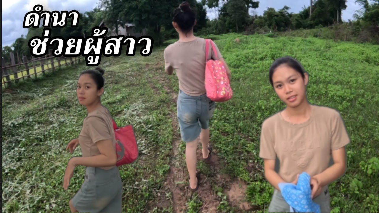 คี่เฮือข้ามเชไปดำนาช่วยผู้สาว นาสาวน้ำอ้อย//ດຳນາຊ່ວຍຜູ້ສາວ27 มิถุนายน ค.ศ. 2025