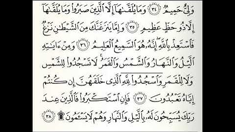 تلاوات مختارة سورة فصلت كاملة القارئ عامر المهلهل