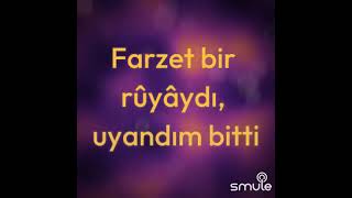 Farzet (Ne Sen Beni̇ Gördün Ne De Ben Senş)