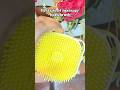 Silicone massage bath brush/ how to us #siliconebrush #viralvideo #viral #trending #haircare #hair